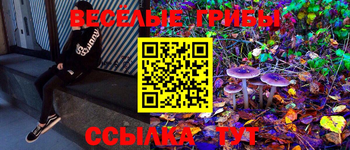 Псилоцибиновые грибы GOLDEN TEACHER  Вход с VPN  Сургут  Псилоцибиновые грибы GOLDEN TEACHER 