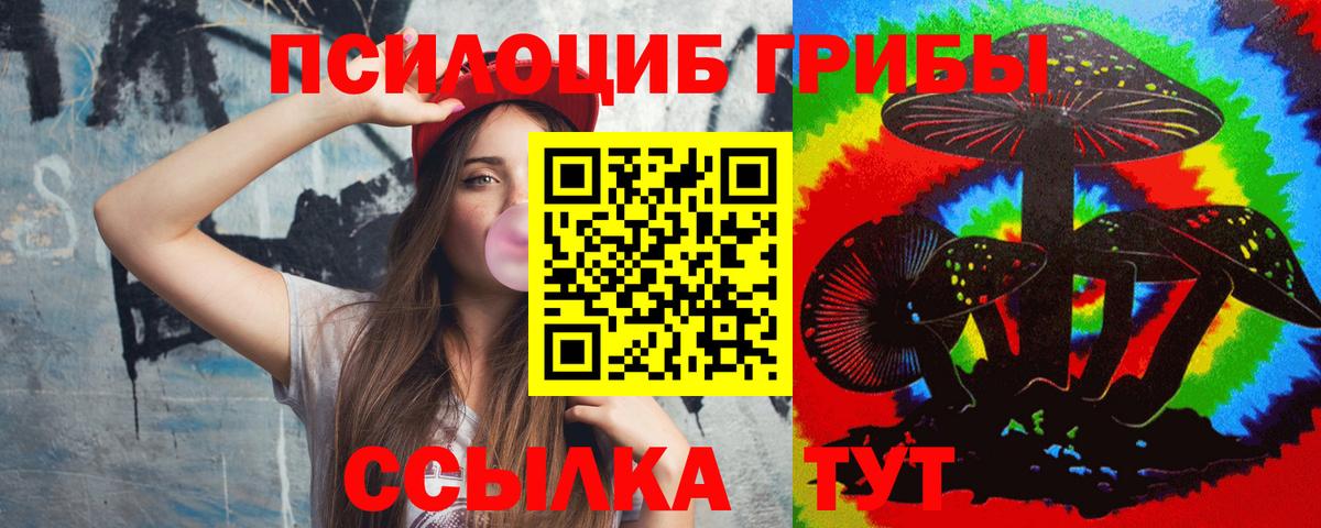 Псилоцибиновые грибы GOLDEN TEACHER Сургут